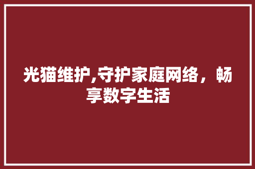 光猫维护,守护家庭网络，畅享数字生活