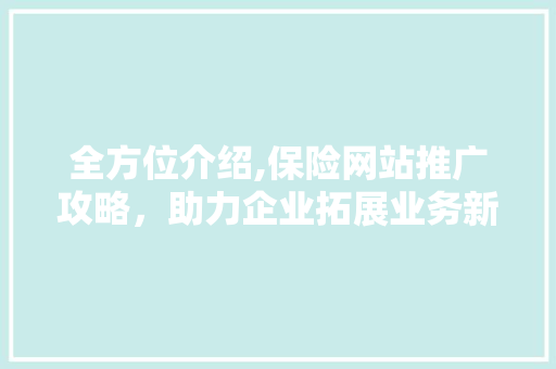 全方位介绍,保险网站推广攻略，助力企业拓展业务新天地