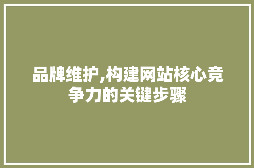 品牌维护,构建网站核心竞争力的关键步骤