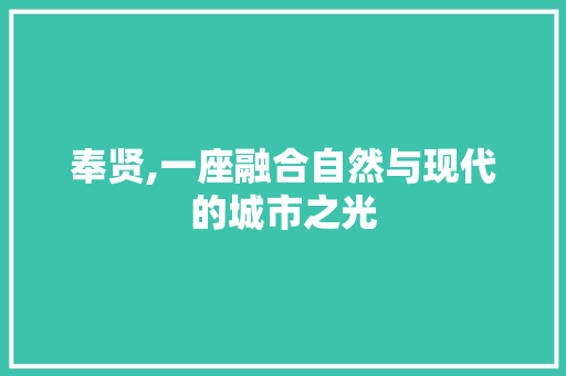 奉贤,一座融合自然与现代的城市之光