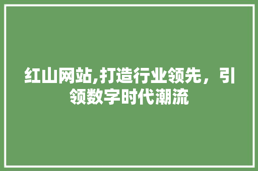 红山网站,打造行业领先，引领数字时代潮流