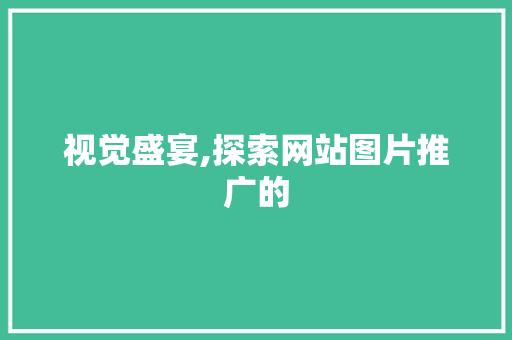 视觉盛宴,探索网站图片推广的