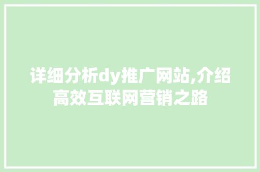 详细分析dy推广网站,介绍高效互联网营销之路