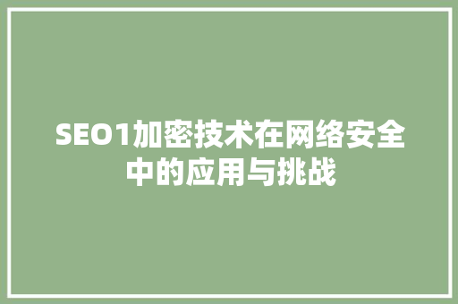 SEO1加密技术在网络安全中的应用与挑战