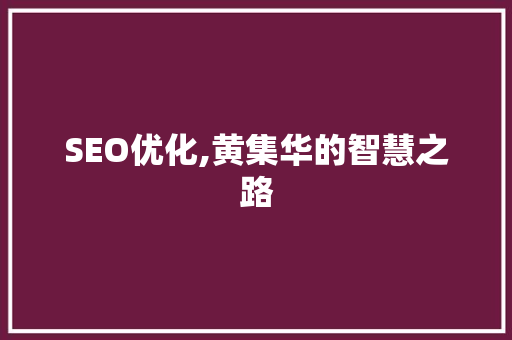 SEO优化,黄集华的智慧之路
