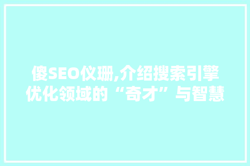 傻SEO仪珊,介绍搜索引擎优化领域的“奇才”与智慧