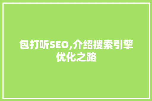 包打听SEO,介绍搜索引擎优化之路