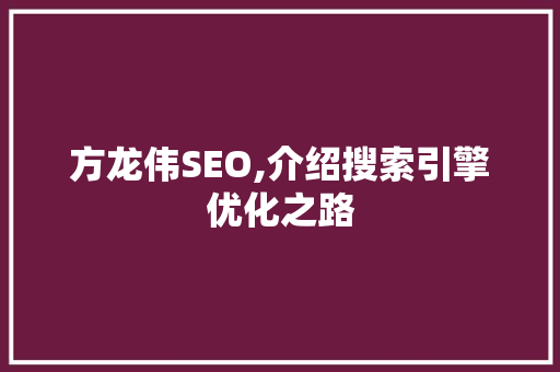 方龙伟SEO,介绍搜索引擎优化之路