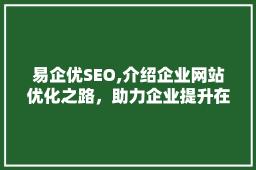 易企优SEO,介绍企业网站优化之路，助力企业提升在线竞争力