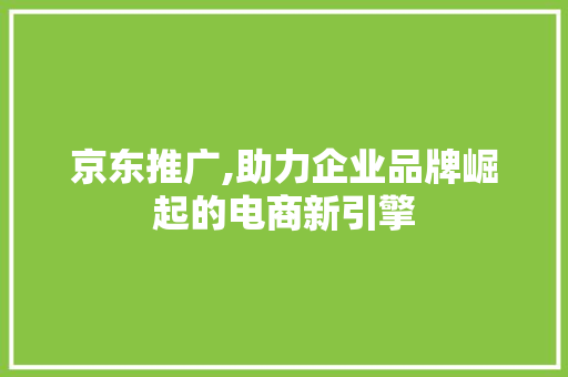京东推广,助力企业品牌崛起的电商新引擎