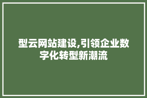 型云网站建设,引领企业数字化转型新潮流