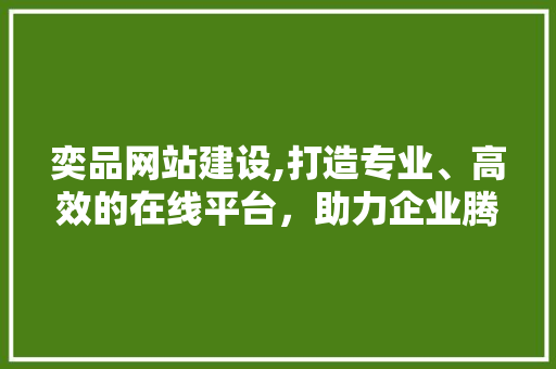 奕品网站建设,打造专业、高效的在线平台，助力企业腾飞