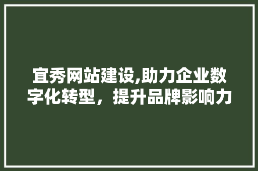 宜秀网站建设,助力企业数字化转型，提升品牌影响力
