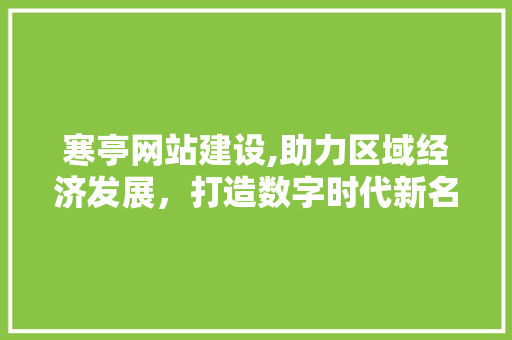 寒亭网站建设,助力区域经济发展，打造数字时代新名片