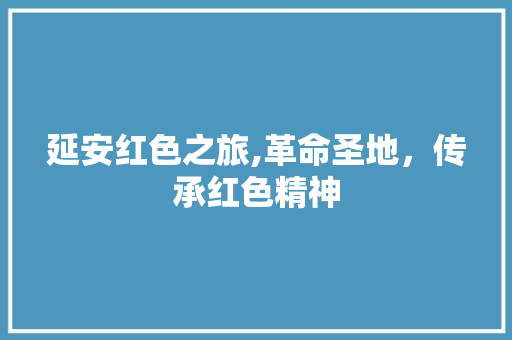 延安红色之旅,革命圣地，传承红色精神