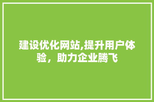 建设优化网站,提升用户体验，助力企业腾飞