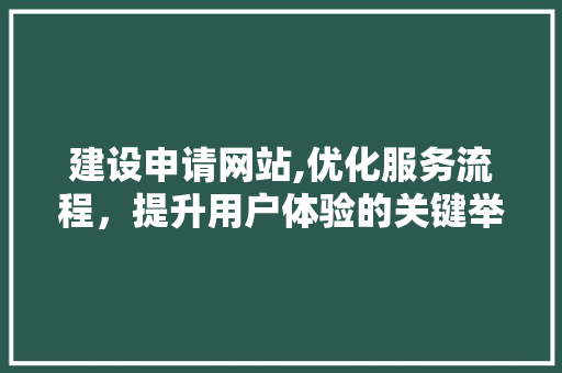 建设申请网站,优化服务流程，提升用户体验的关键举措