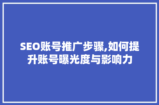 SEO账号推广步骤,如何提升账号曝光度与影响力