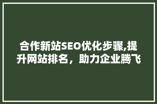 合作新站SEO优化步骤,提升网站排名，助力企业腾飞