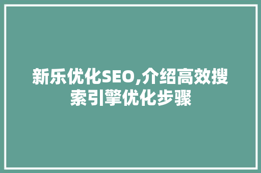 新乐优化SEO,介绍高效搜索引擎优化步骤