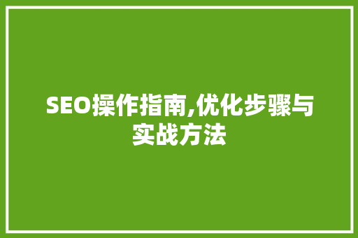 SEO操作指南,优化步骤与实战方法