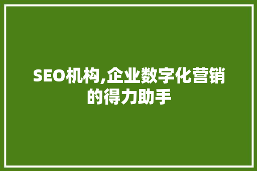 SEO机构,企业数字化营销的得力助手