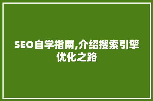 SEO自学指南,介绍搜索引擎优化之路