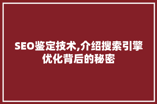 SEO鉴定技术,介绍搜索引擎优化背后的秘密
