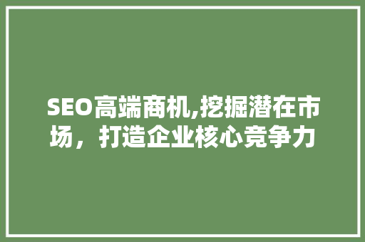 SEO高端商机,挖掘潜在市场，打造企业核心竞争力