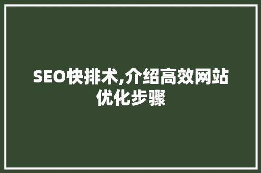 SEO快排术,介绍高效网站优化步骤