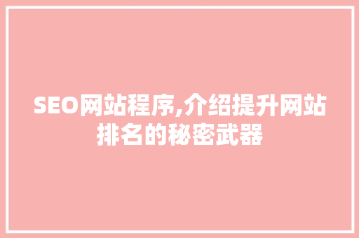 SEO网站程序,介绍提升网站排名的秘密武器