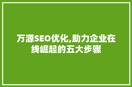 万源SEO优化,助力企业在线崛起的五大步骤