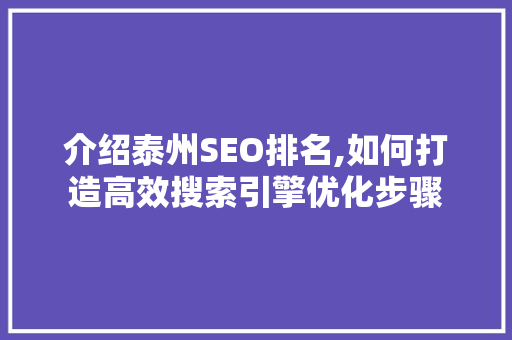 介绍泰州SEO排名,如何打造高效搜索引擎优化步骤