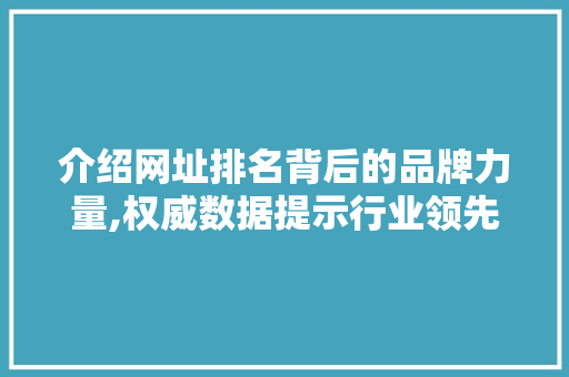介绍网址排名背后的品牌力量,权威数据提示行业领先品牌