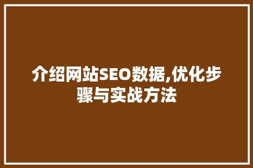介绍网站SEO数据,优化步骤与实战方法