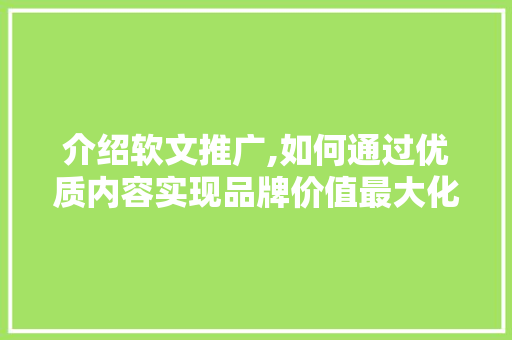 介绍软文推广,如何通过优质内容实现品牌价值最大化