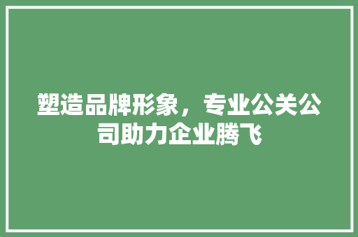 塑造品牌形象，专业公关公司助力企业腾飞