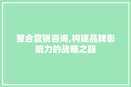 整合营销咨询,构建品牌影响力的战略之路