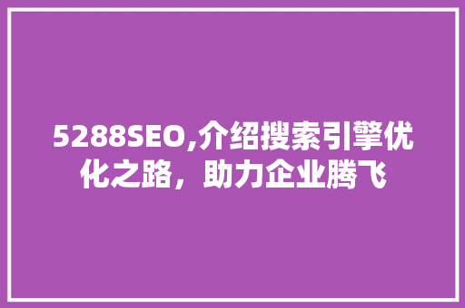 5288SEO,介绍搜索引擎优化之路，助力企业腾飞