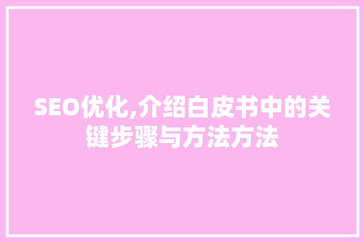 SEO优化,介绍白皮书中的关键步骤与方法方法