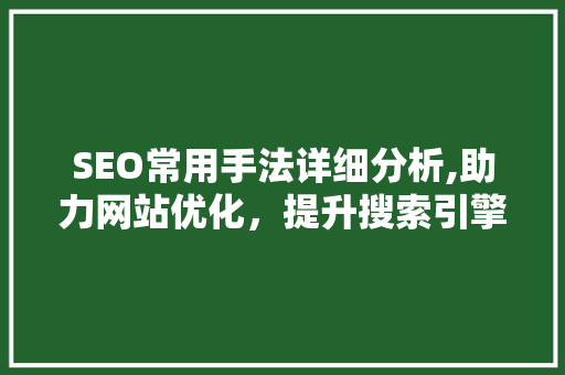 SEO常用手法详细分析,助力网站优化，提升搜索引擎排名