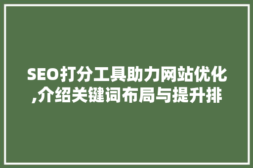 SEO打分工具助力网站优化,介绍关键词布局与提升排名之路