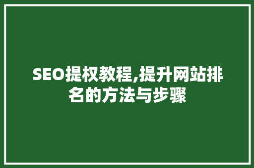 SEO提权教程,提升网站排名的方法与步骤