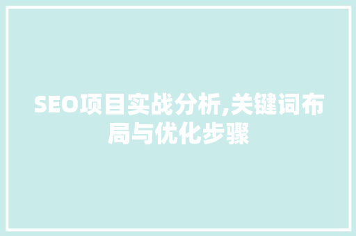 SEO项目实战分析,关键词布局与优化步骤