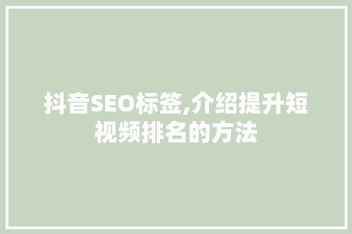 抖音SEO标签,介绍提升短视频排名的方法
