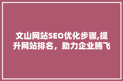 文山网站SEO优化步骤,提升网站排名，助力企业腾飞