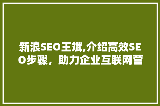 新浪SEO王斌,介绍高效SEO步骤，助力企业互联网营销