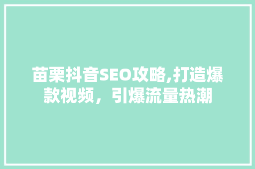 苗栗抖音SEO攻略,打造爆款视频，引爆流量热潮