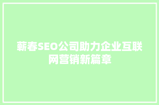 蕲春SEO公司助力企业互联网营销新篇章