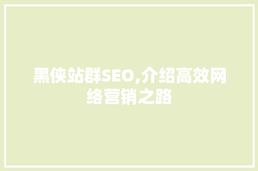 黑侠站群SEO,介绍高效网络营销之路